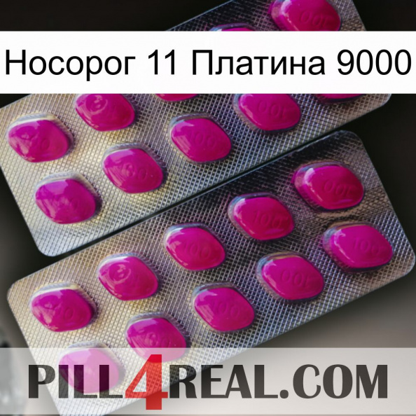 Носорог 11 Платина 9000 10.jpg